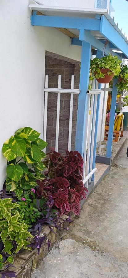 Posada Aleeny Providencia  Экстерьер фото