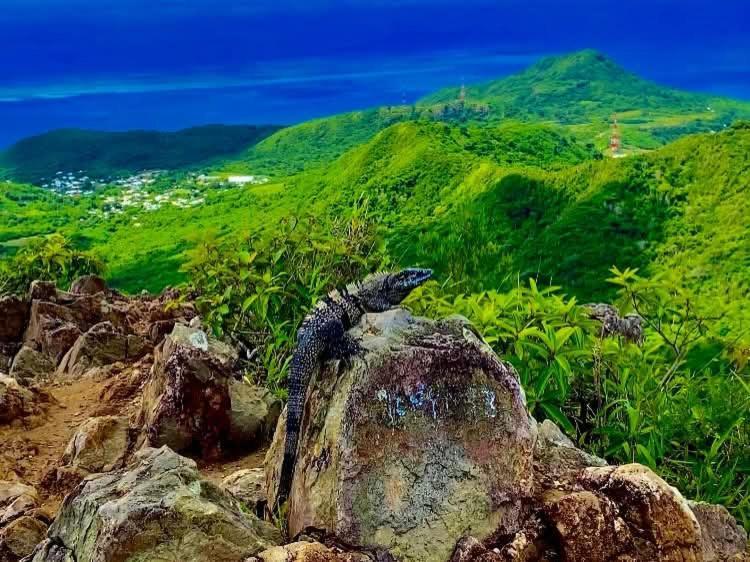 Posada Aleeny Providencia  Экстерьер фото